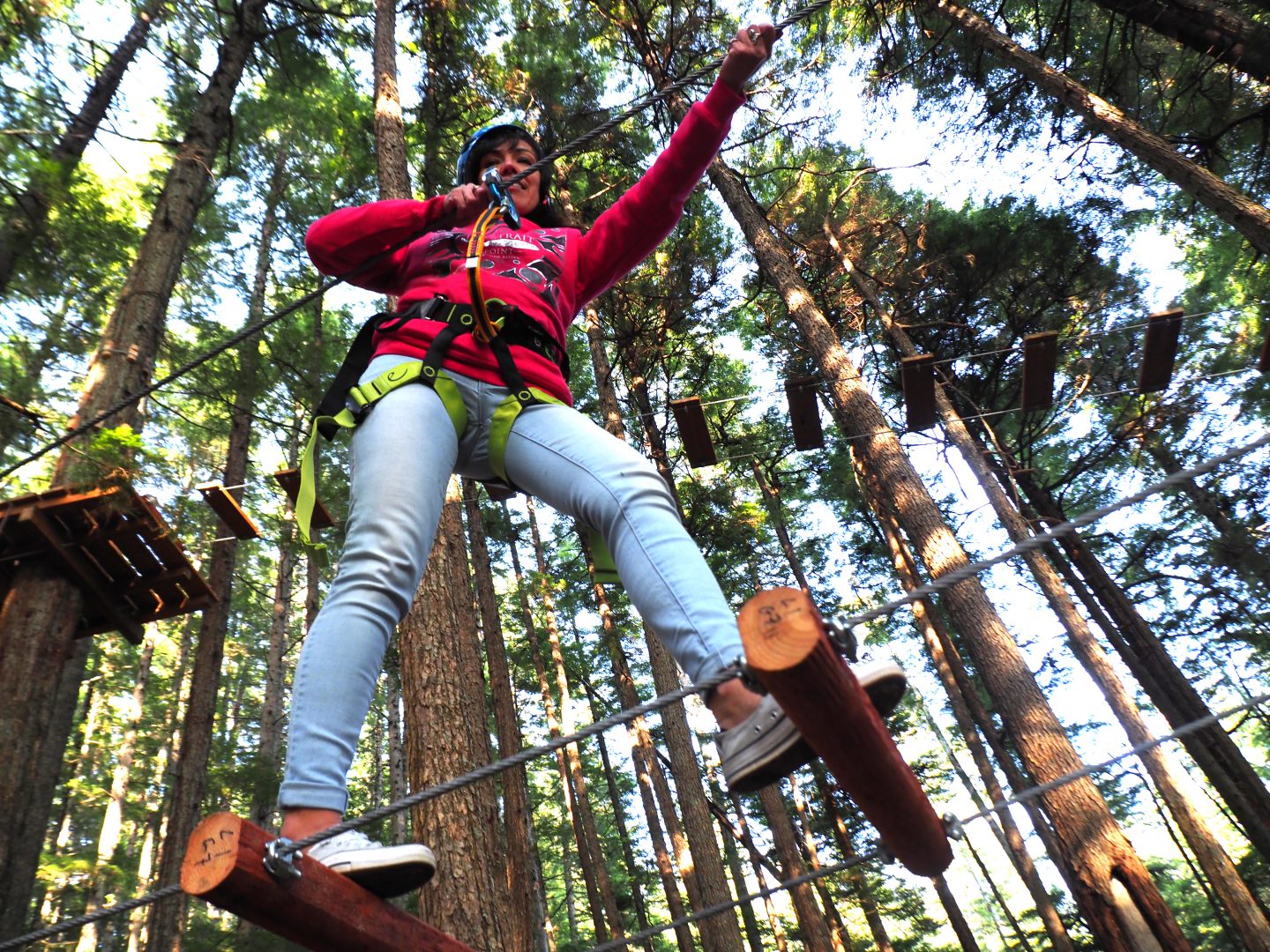 fryser hack Beloved Tree Top Adventure Park & Ropes Course | Icy Strait Point – Icy Strait Point