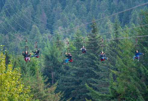 Ziprider at Icy Strait Point Image